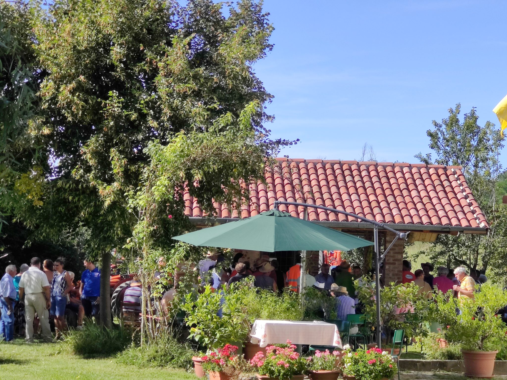 Azienda Agricola Cascina Campora Di Novara Paolo — foto 6